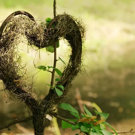 Hotell Farchauer Muhle