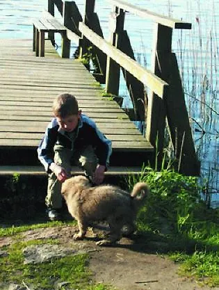 Farchauer Muhle 3* Ratzeburg