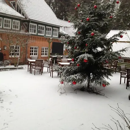 Hotel Farchauer Muehle 3*